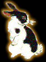 Японский гороскоп Rabbit