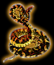 Японский гороскоп Snake