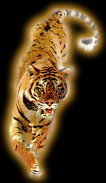 Японский гороскоп Tiger